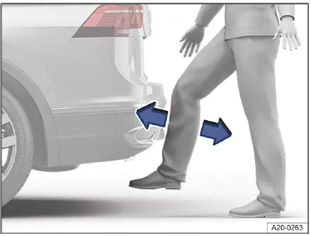 Fig. 1 Representación esquemática del portón trasero con